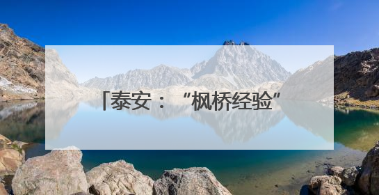 泰安：“枫桥经验”融入政务服务 “泰好办”变身贴心管家