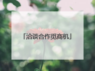 洽谈合作觅商机