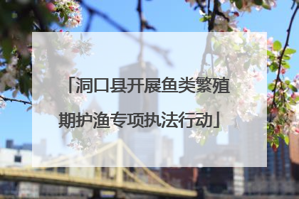 洞口县开展鱼类繁殖期护渔专项执法行动