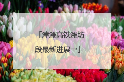 津潍高铁潍坊段最新进展→