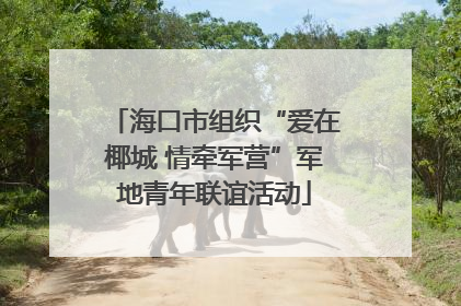 海口市组织“爱在椰城 情牵军营”军地青年联谊活动