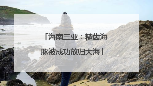 海南三亚：糙齿海豚被成功放归大海