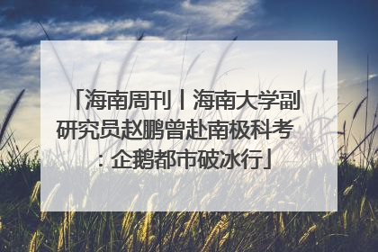 海南周刊丨海南大学副研究员赵鹏曾赴南极科考：企鹅都市破冰行
