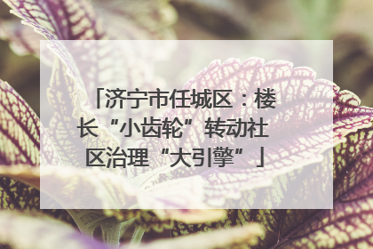 济宁市任城区：楼长“小齿轮”转动社区治理“大引擎”