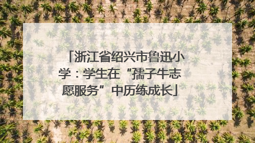 浙江省绍兴市鲁迅小学：学生在“孺子牛志愿服务”中历练成长