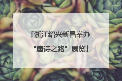 浙江绍兴新昌举办“唐诗之路”展览