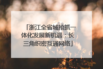 浙江全省域抢抓一体化发展新机遇：长三角织密互通网络