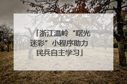浙江温岭“曙光迷彩”小程序助力民兵自主学习