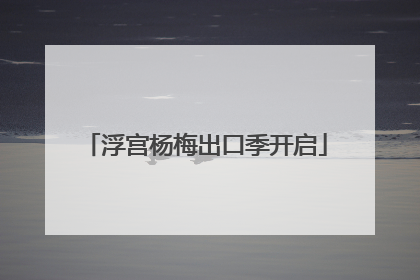 浮宫杨梅出口季开启