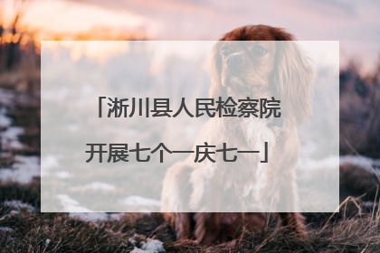 淅川县人民检察院开展七个一庆七一