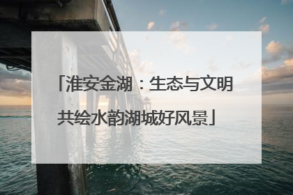 淮安金湖：生态与文明共绘水韵湖城好风景