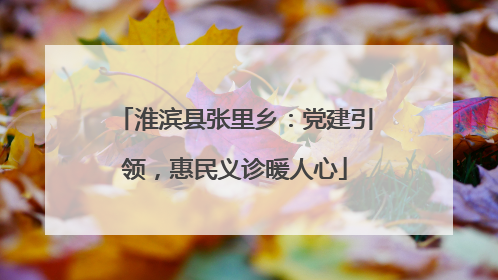 淮滨县张里乡：党建引领，惠民义诊暖人心