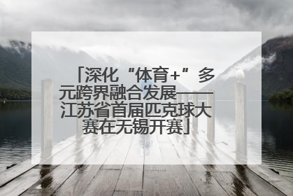 深化“体育+”多元跨界融合发展——江苏省首届匹克球大赛在无锡开赛