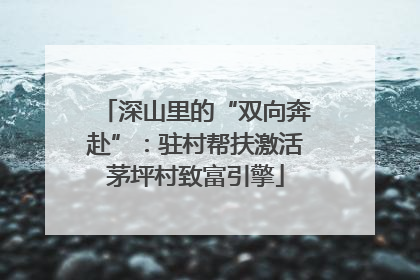 深山里的“双向奔赴”：驻村帮扶激活茅坪村致富引擎