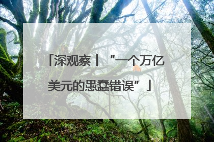 深观察丨“一个万亿美元的愚蠢错误”