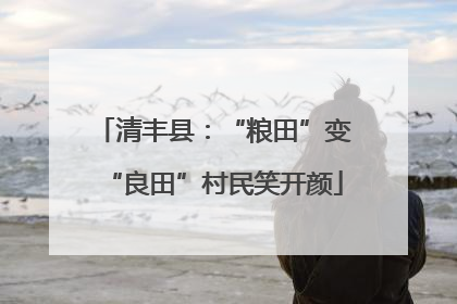 清丰县：“粮田”变“良田”村民笑开颜