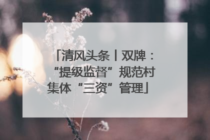 清风头条丨双牌：“提级监督”规范村集体“三资”管理