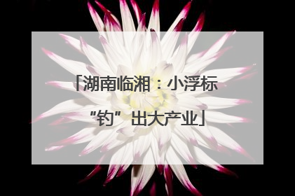 湖南临湘：小浮标“钓”出大产业