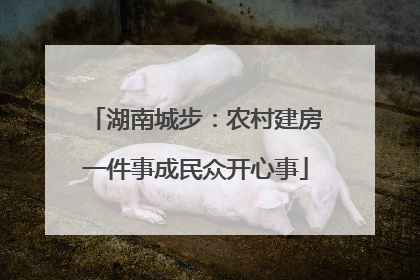 湖南城步：农村建房一件事成民众开心事