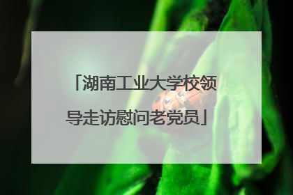 湖南工业大学校领导走访慰问老党员