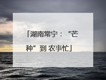 湖南常宁：“芒种”到 农事忙