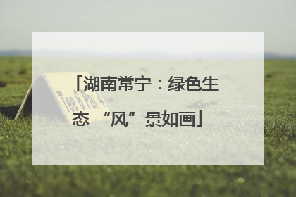 湖南常宁：绿色生态 “风”景如画
