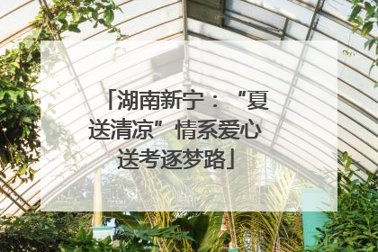 湖南新宁：“夏送清凉”情系爱心送考逐梦路