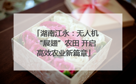 湖南江永：无人机“展翅”农田 开启高效农业新篇章