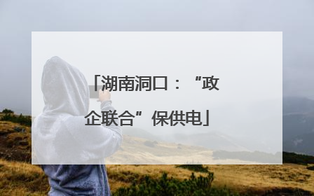 湖南洞口：“政企联合”保供电
