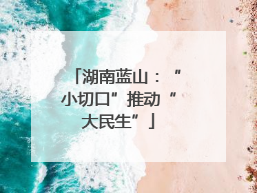 湖南蓝山：“小切口”推动“大民生”