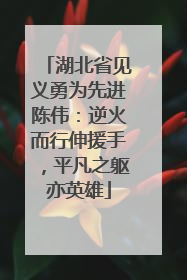 湖北省见义勇为先进陈伟：逆火而行伸援手，平凡之躯亦英雄