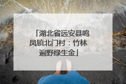 湖北省远安县鸣凤镇北门村：竹林遍野绿生金