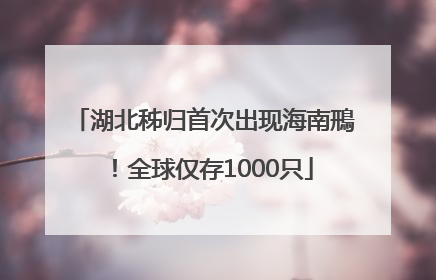 湖北秭归首次出现海南鳽！全球仅存1000只