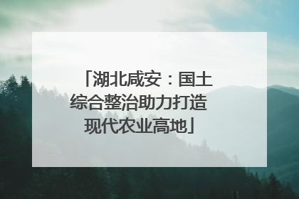 湖北咸安：国土综合整治助力打造现代农业高地