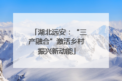 湖北远安：“三产融合”激活乡村振兴新动能
