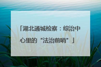 湖北通城检察：综治中心里的“法治前哨”