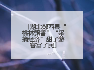 湖北郧西县“桃林飘香”“采摘经济”甜了游客富了民