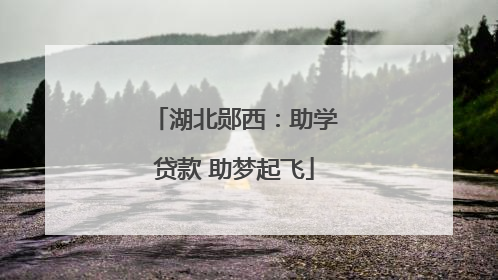 湖北郧西：助学贷款 助梦起飞
