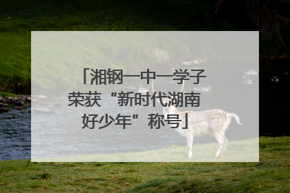 湘钢一中一学子荣获“新时代湖南好少年”称号