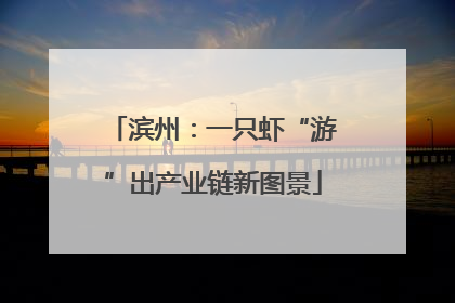 滨州：一只虾“游”出产业链新图景