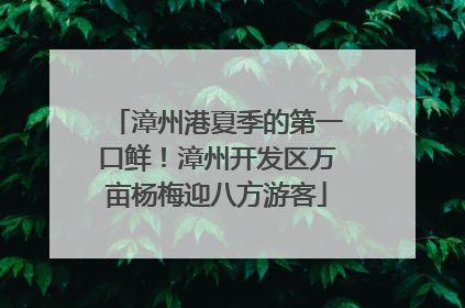 漳州港夏季的第一口鲜！漳州开发区万亩杨梅迎八方游客