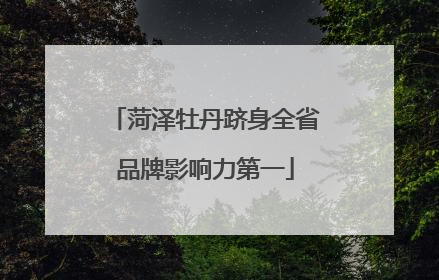 菏泽牡丹跻身全省品牌影响力第一