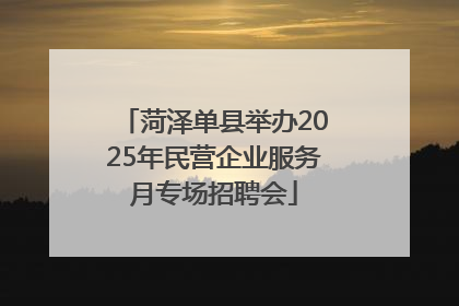 菏泽单县举办2025年民营企业服务月专场招聘会