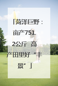 菏泽巨野：亩产751.2公斤  高产田里好“丰景”