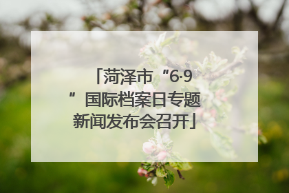 菏泽市“6·9”国际档案日专题新闻发布会召开