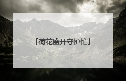 荷花盛开守护忙