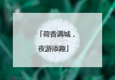 荷香满城，夜游添趣