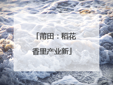 莆田：稻花香里产业新