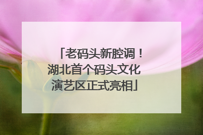 老码头新腔调！湖北首个码头文化演艺区正式亮相