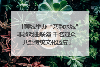 聊城举办“艺韵水城”非遗戏曲联演 千名观众共赴传统文化盛宴